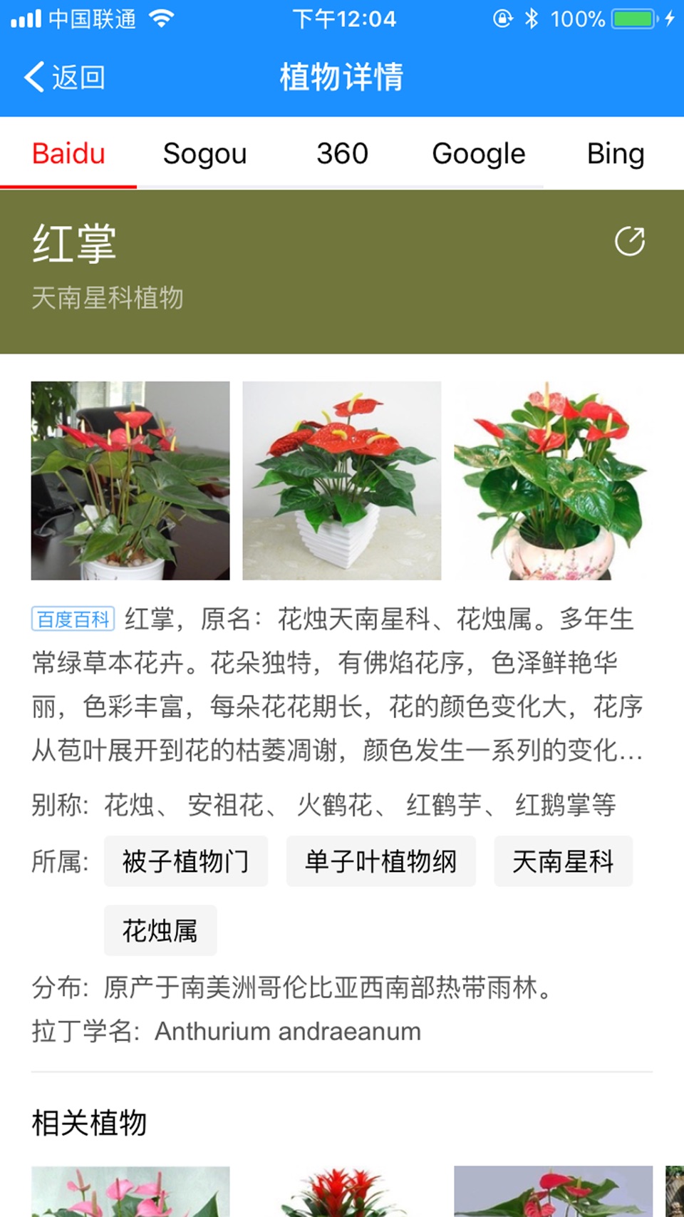 识花 - 拍照识别植物花卉 3