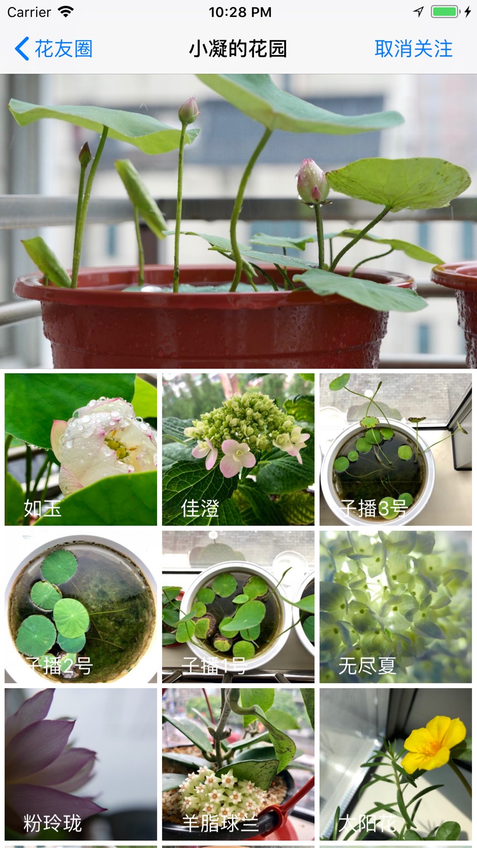 爱花草：智能植物多肉养护专家，浇水施肥提醒与生长记录 9