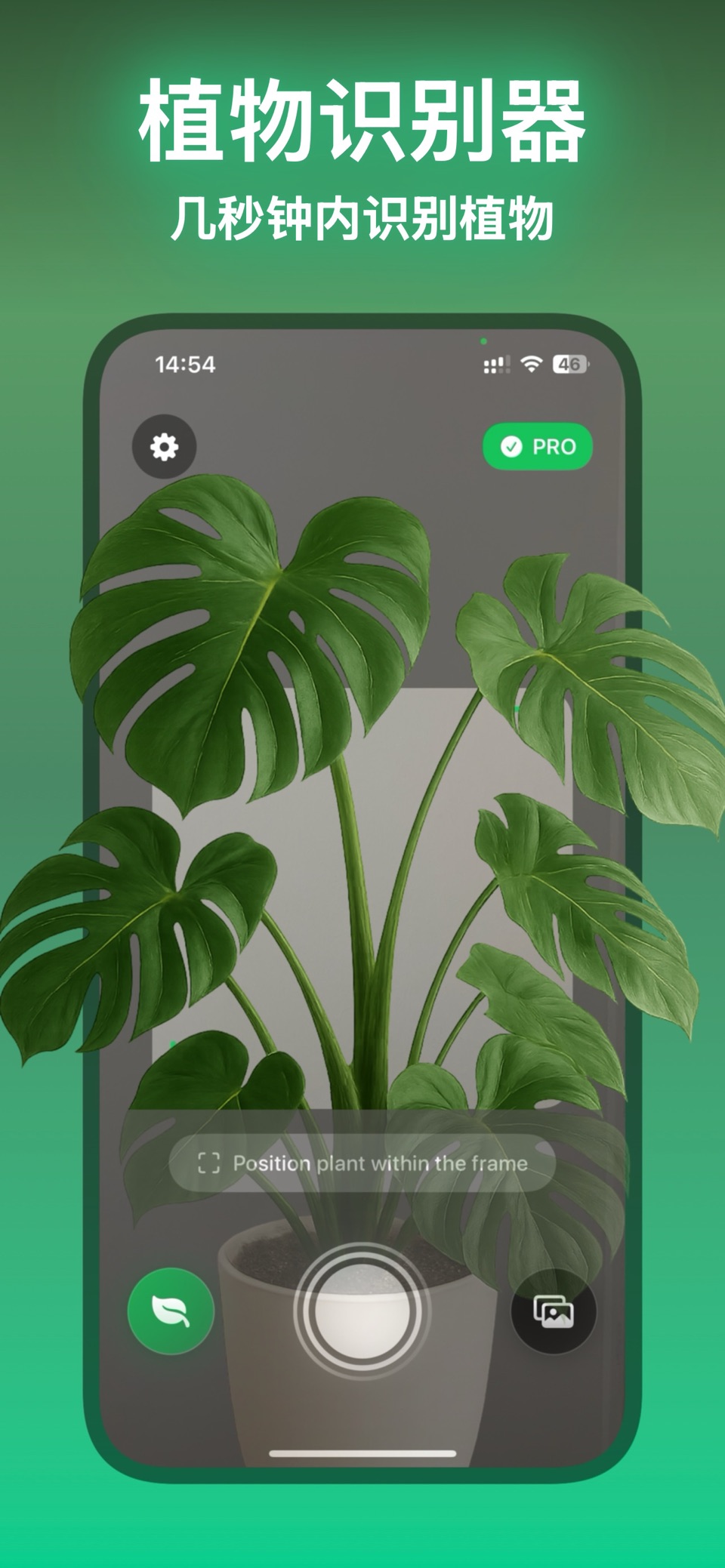 Leafify: 植物识别 1