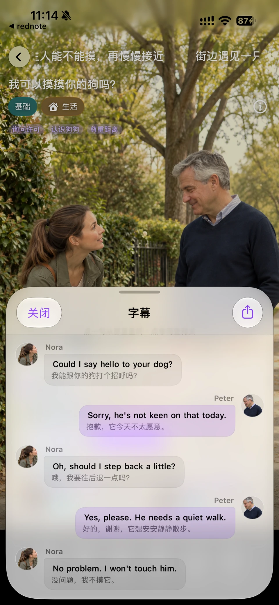 不同剧情的回应